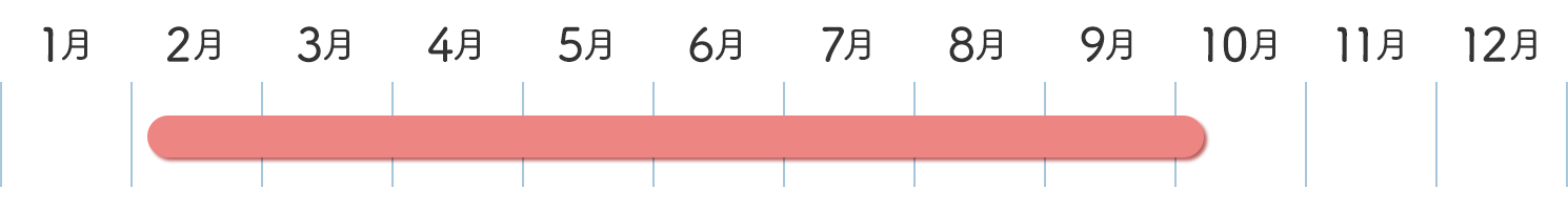 アスパラガスの収穫時期カレンダー