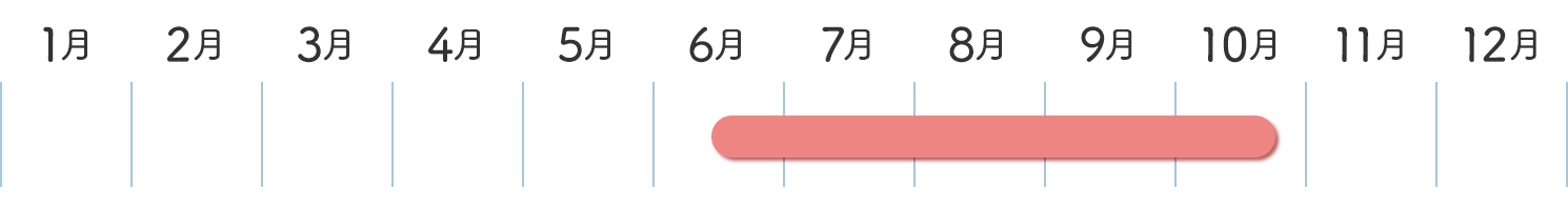 なすの収穫時期カレンダー